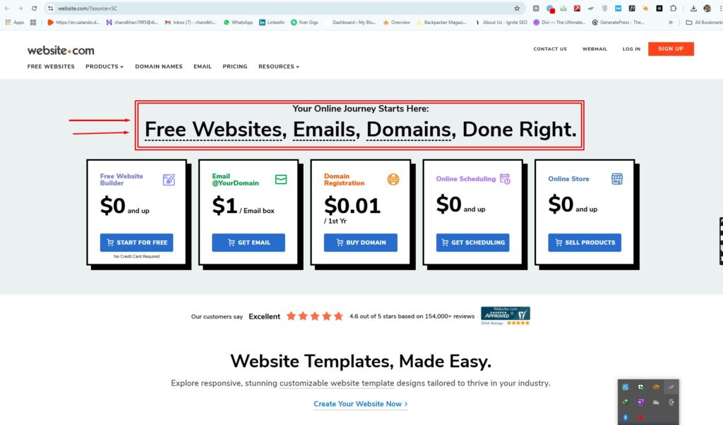 A professional entrepreneur working on a website.