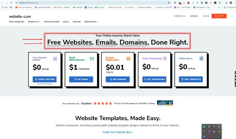 A professional entrepreneur working on a website.